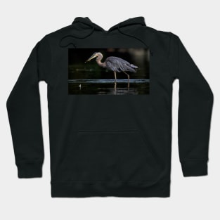 Heron on the Hunt Hoodie